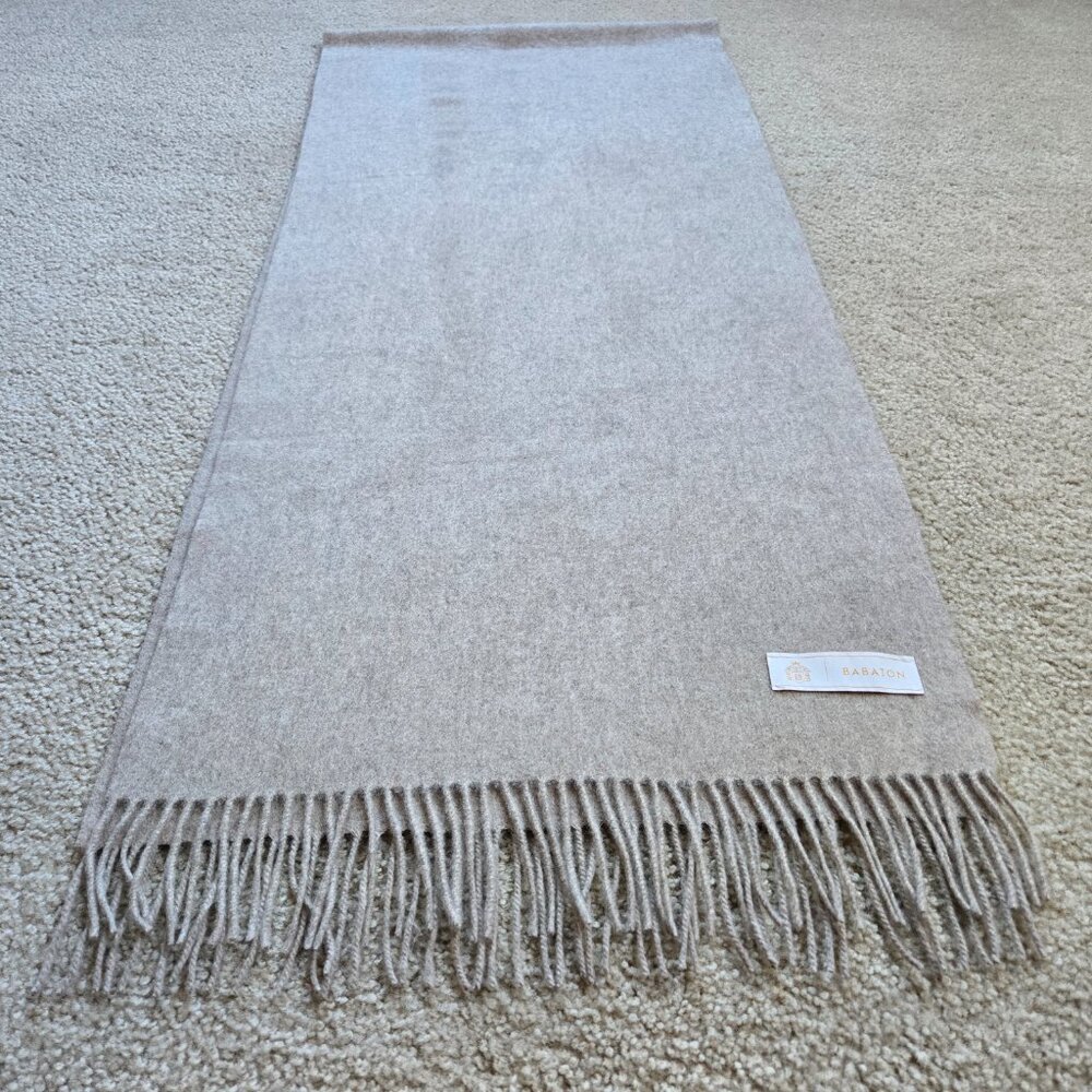 NWOT Babaton Cashmere Scarf Oatmeal Tan - Picture 10 of 11